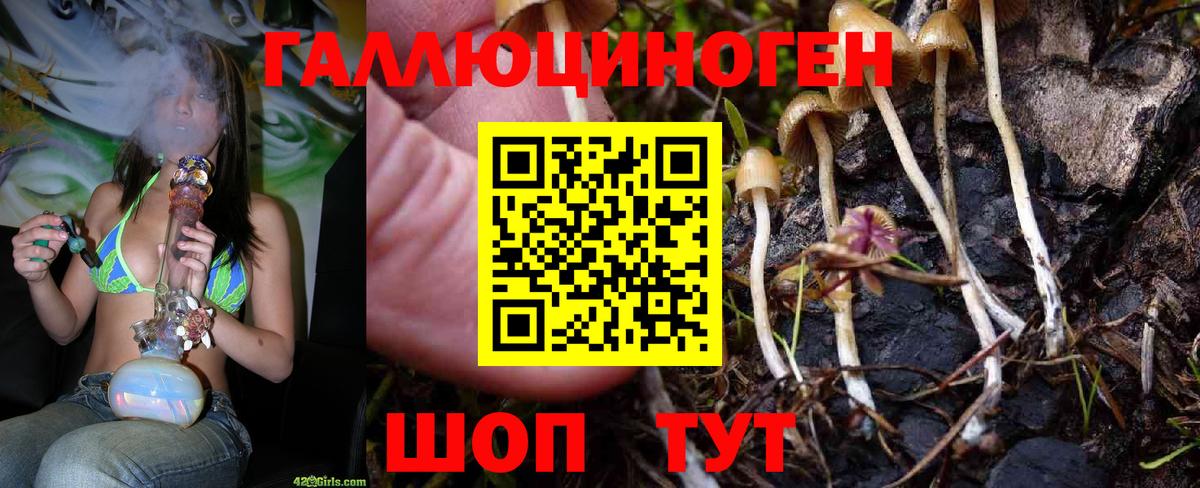 Галлюциногенные грибы GOLDEN TEACHER Чистополь